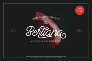Berliana Script: The Art of Marker-Inspired Elegance