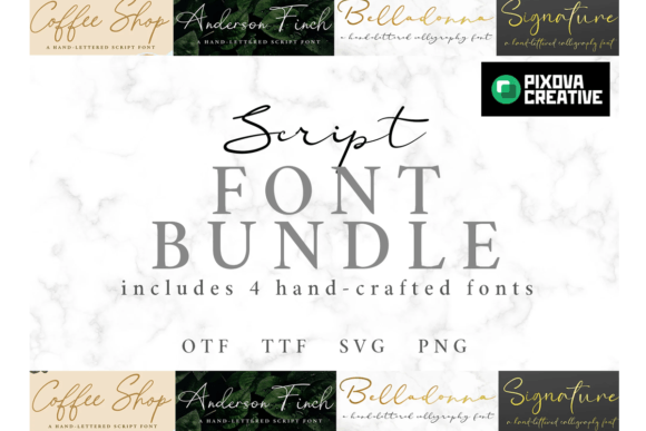 Script 4 Bundle: Crafting Authentic Visual Stories