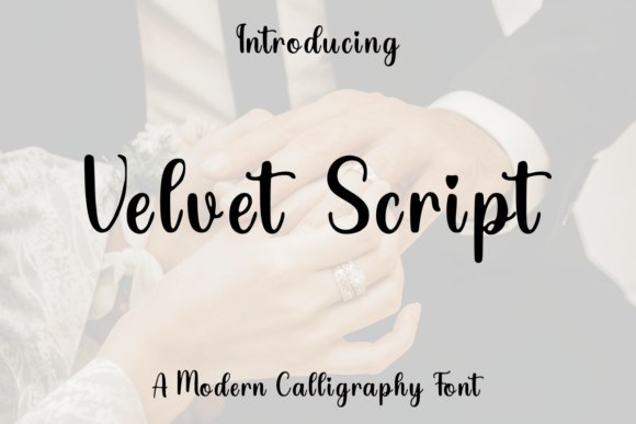 The Feminine Flow of Velvet Script in Modern Design