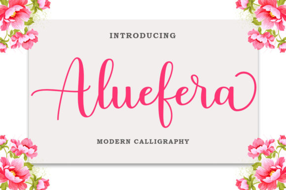 Why Designers Are Falling for Aluefera Script